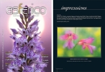 Cover and Portfolio - Asferico - April 2011