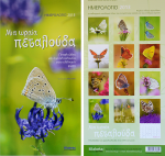 Greek Butterfly Calendar